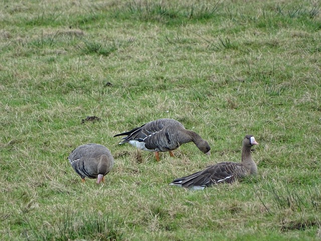 然而到了现 然而到了现
