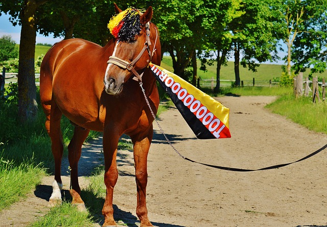 今天我们就 今天我们就