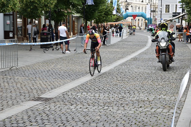 帕利尼亚被 帕利尼亚被