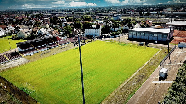 今天吃饺子了！卡马拉11中8&三分5中5砍生涯新高24分 另有9板4助.