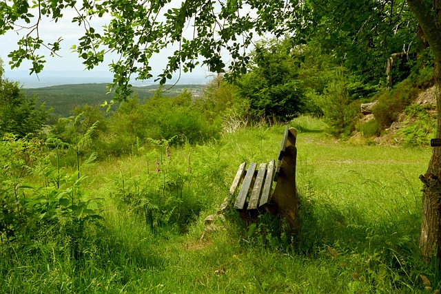 仅一个苹果重还能“变身” 空地两用无人机瞄准火星探测.